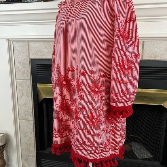 Velzera Pinstripe with Embroidery Tunic/Dress with Bell Sleeves and Tassels - Picture 5 of 15